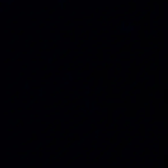 yyy