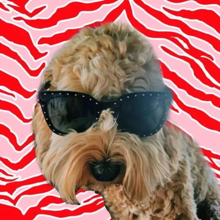 𝐏 𝐑 𝐄 𝐏 𝐏 𝐘 🪴 ⚡️