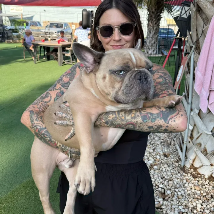 bigboychunkythefrenchie
