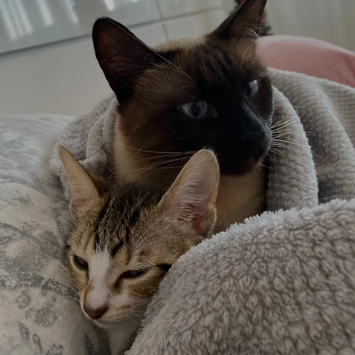 Kiki and Lizzy