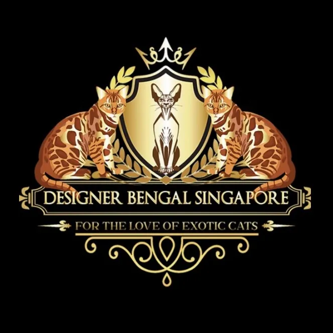 DesignerCatsSingapore