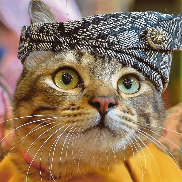 Oyen Affiliate