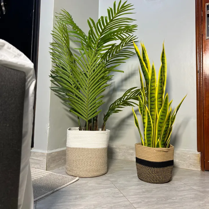 Surrender_The_Florist