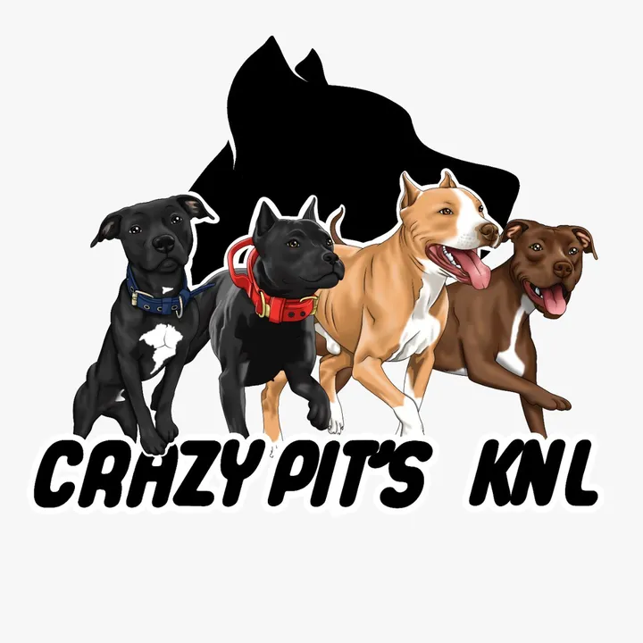 CrazyPitsKnls
