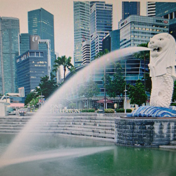 AlbertChong Shop 🇸🇬Singapore