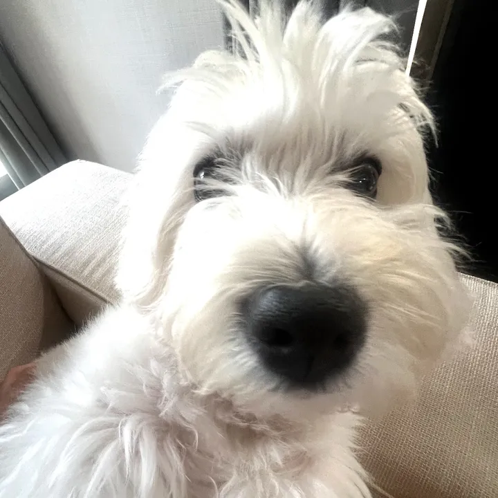 munchwithyou ❤️‍🔥