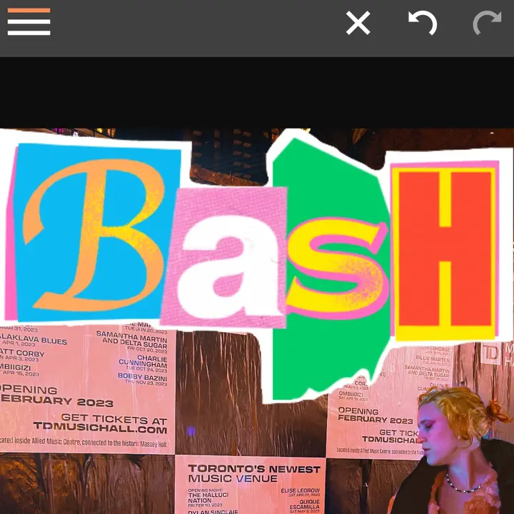 BashBands
