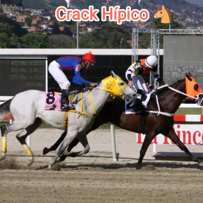 crackhipicohd