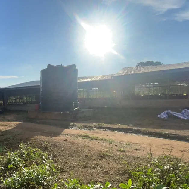 Hawa farms
