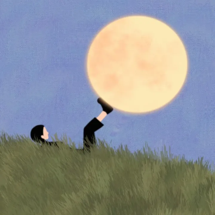Moon delivery