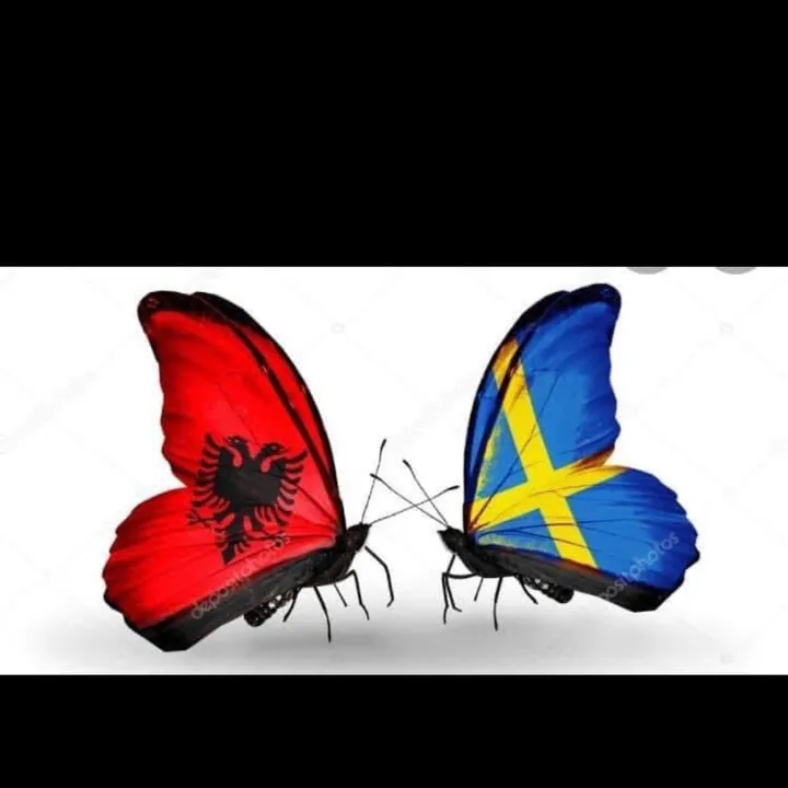 Ina303🇦🇱🇸🇪
