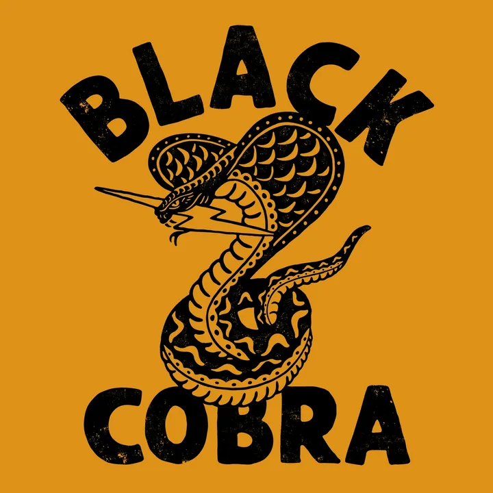 Black-cobra🇸🇴🇸🇪