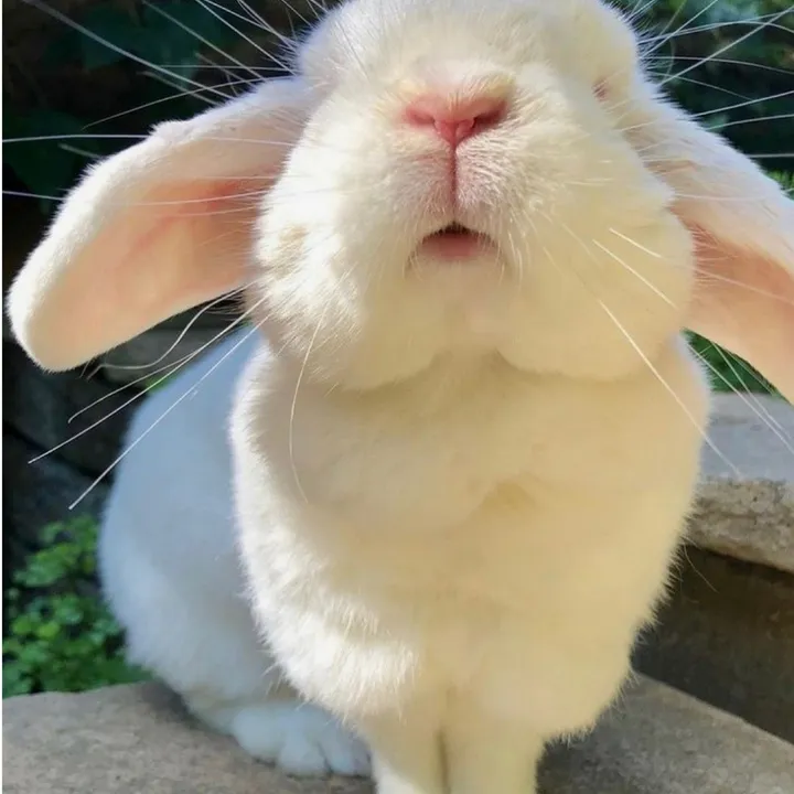 Mar♾️🐇