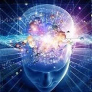 ⚠️ Don’t pause ⚠️