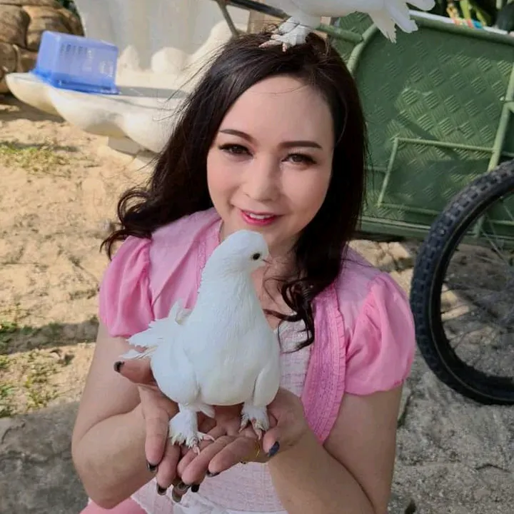 ติ๊กโฟโต้วัน