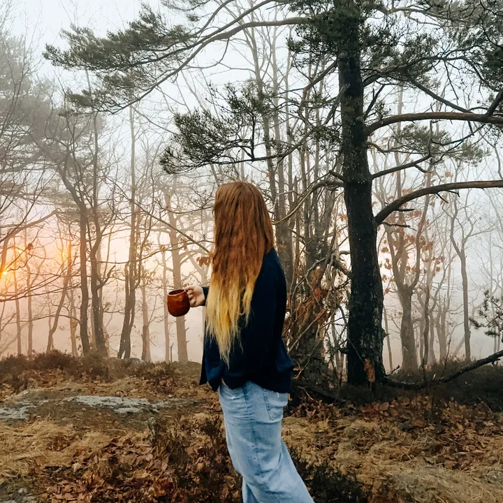 Cozy Ginger