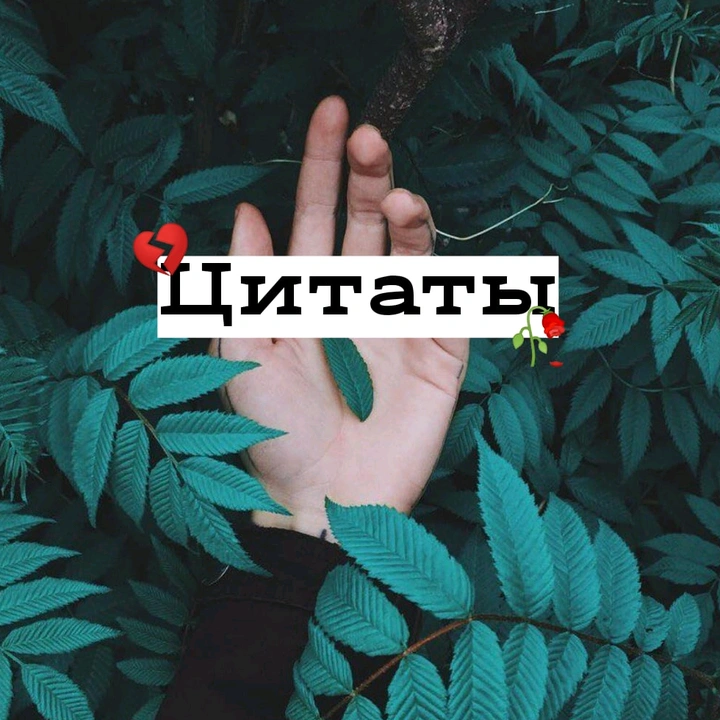 a❤️n🌺g🥑e🎭l👑i🧸n🔗a📍