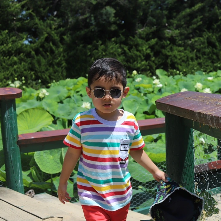 Noyan