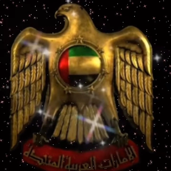 ولد زايد_الامارات