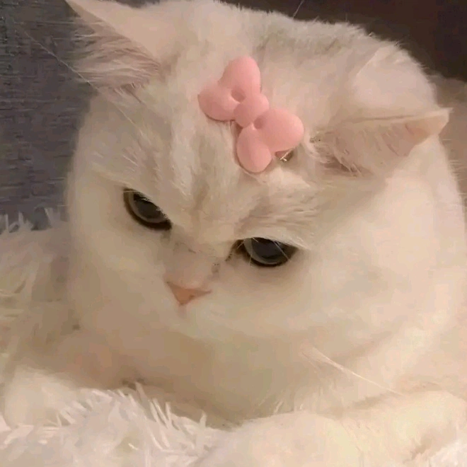𝘻𝘪𝘯𝘮𝘪𝘴𝘯𝘩𝘶𝘯𝘯𝘨🧸🌷