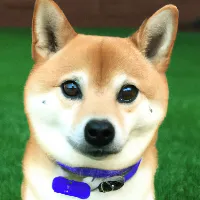 SakJonShow