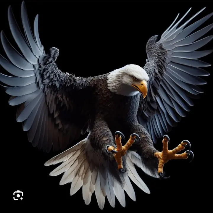 Ily.. 🦅🥷🏾