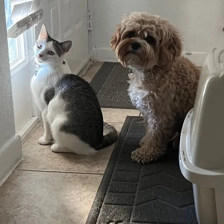 FurCrazyPetSalon