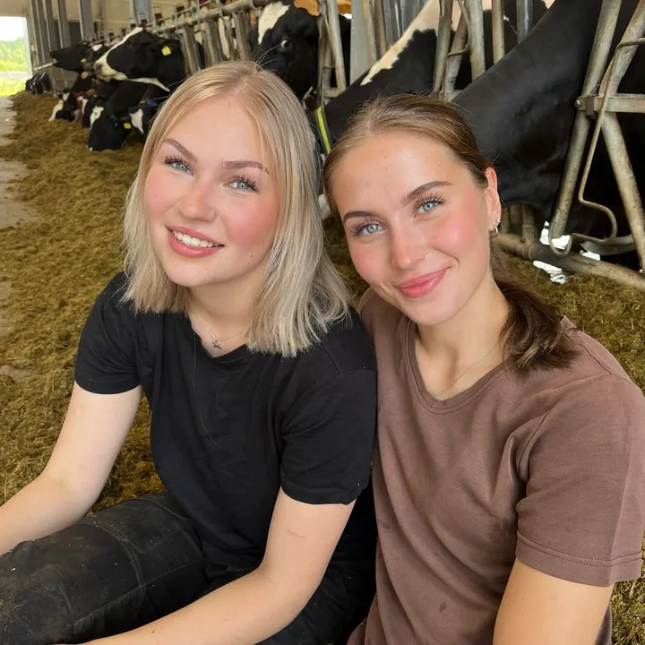 Loviisa ja Elli