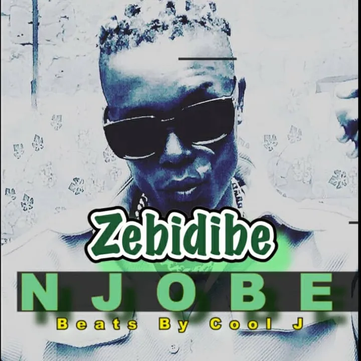 ZEBIDIBE OFFICIAL