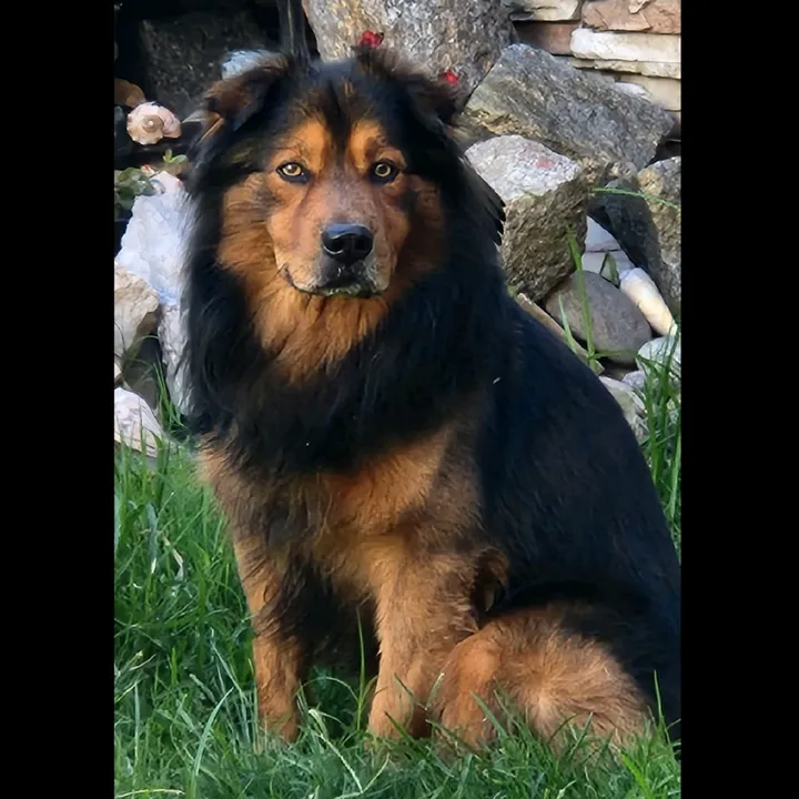 🏆Lio Messi🥇 ⭐⭐⭐