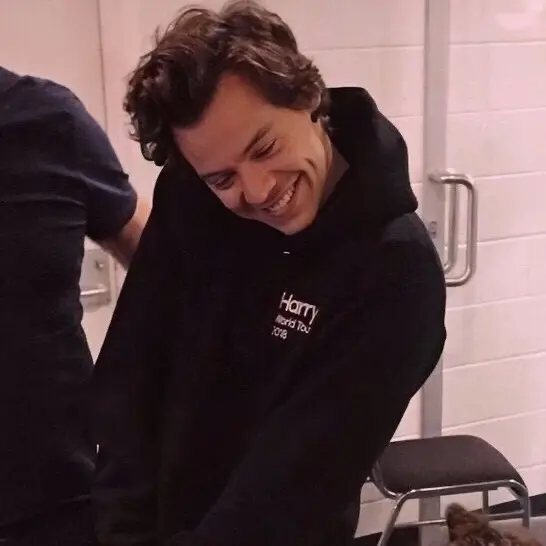 live laugh love harry styles