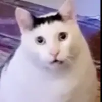 loucaejogadorah