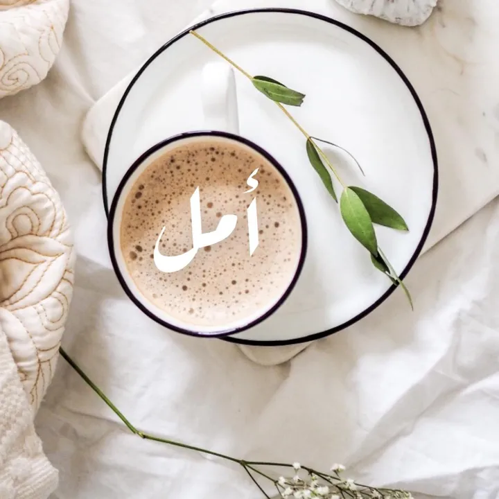 الـــ أمل ــروقـي