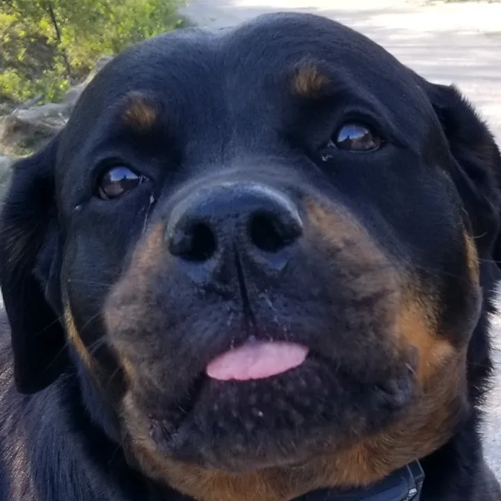 NALA
