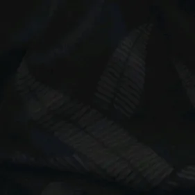 Can