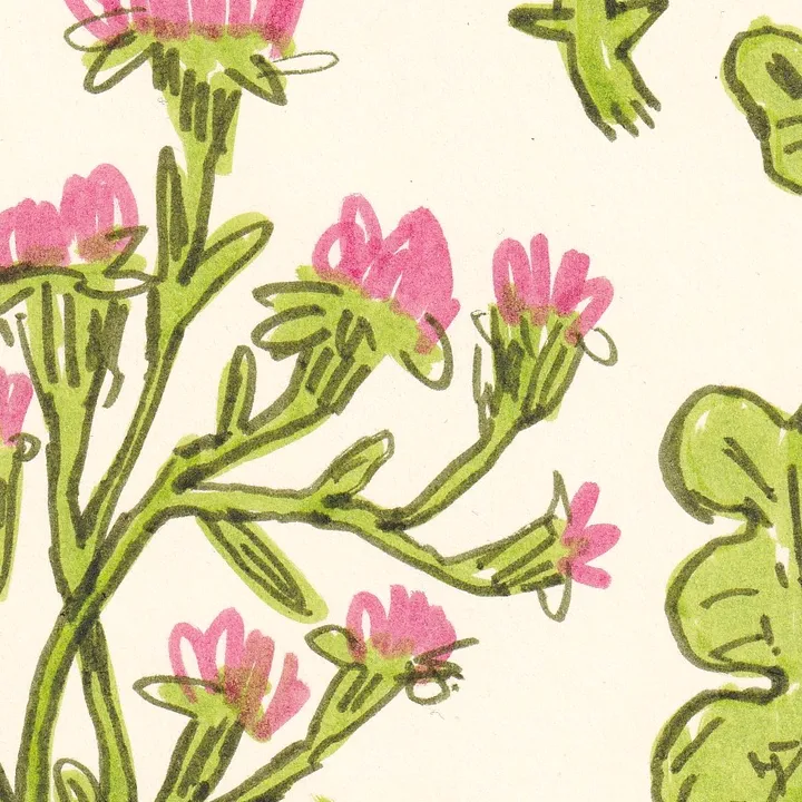 emma_foster_illustrates_