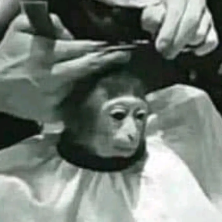 Jk