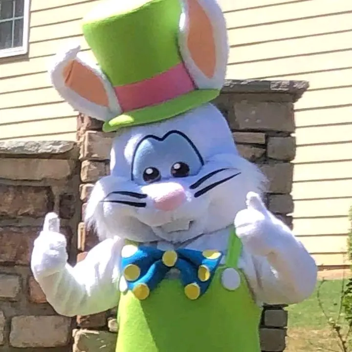 E Bunny 🐰