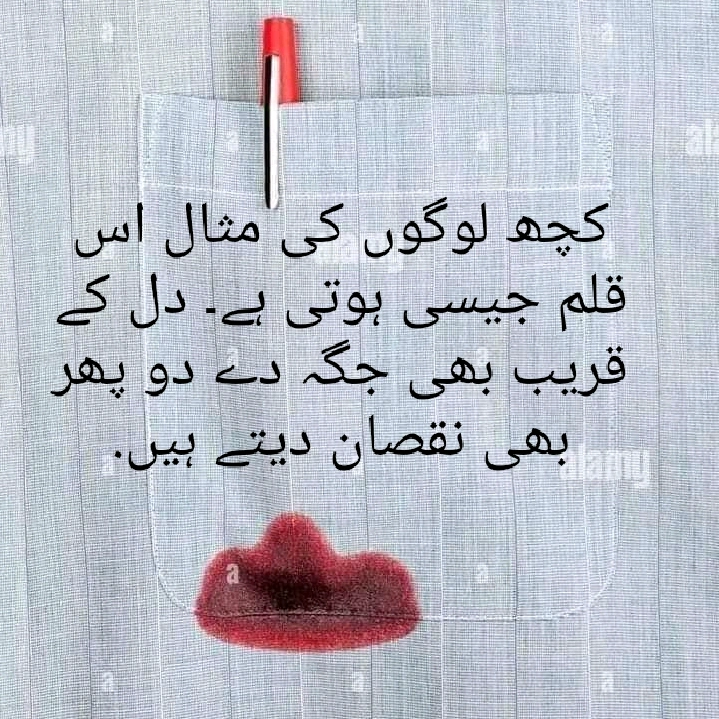 يار باش پختون