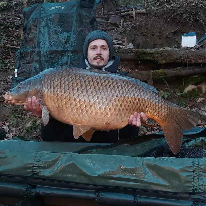 CARP.FISH🔱LOT🔱