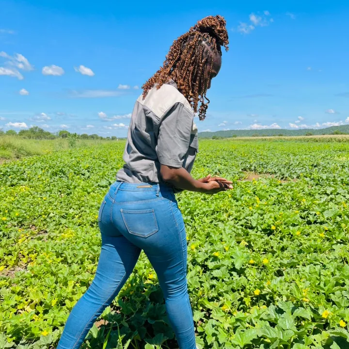 BAUDU FARM THE LEGACY 👩‍🌾