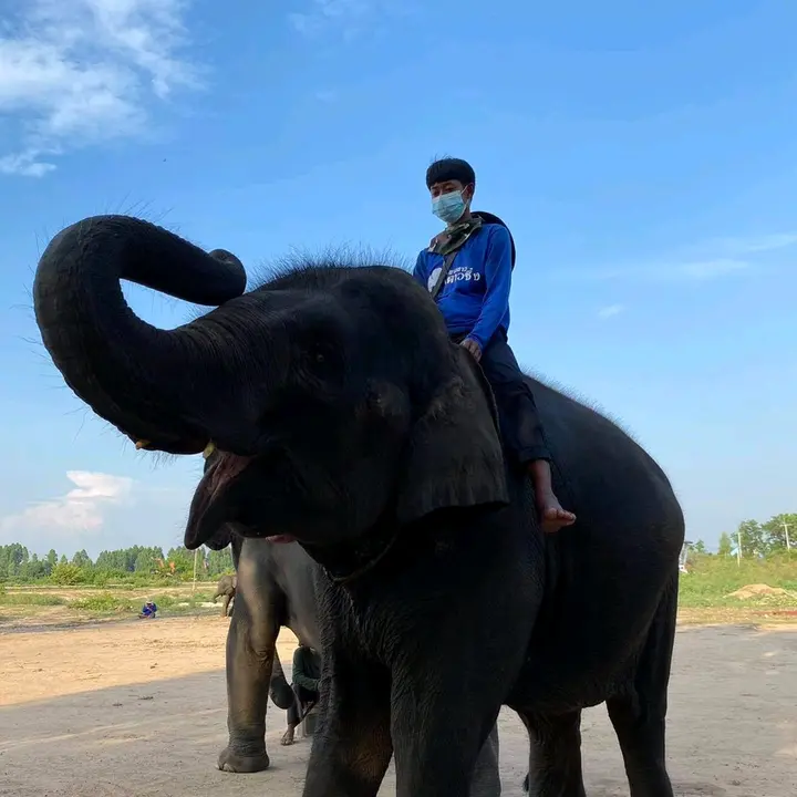 พังน้องขวัญ🐘❤