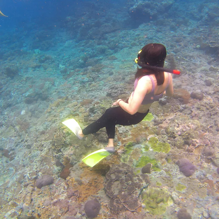 Sherly Chandradinata