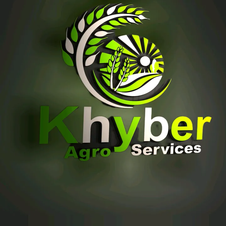 🇧🇫 پنڈ بہادر خان 🇧🇫