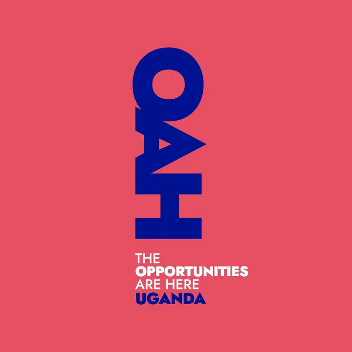 Opportunities Are Here