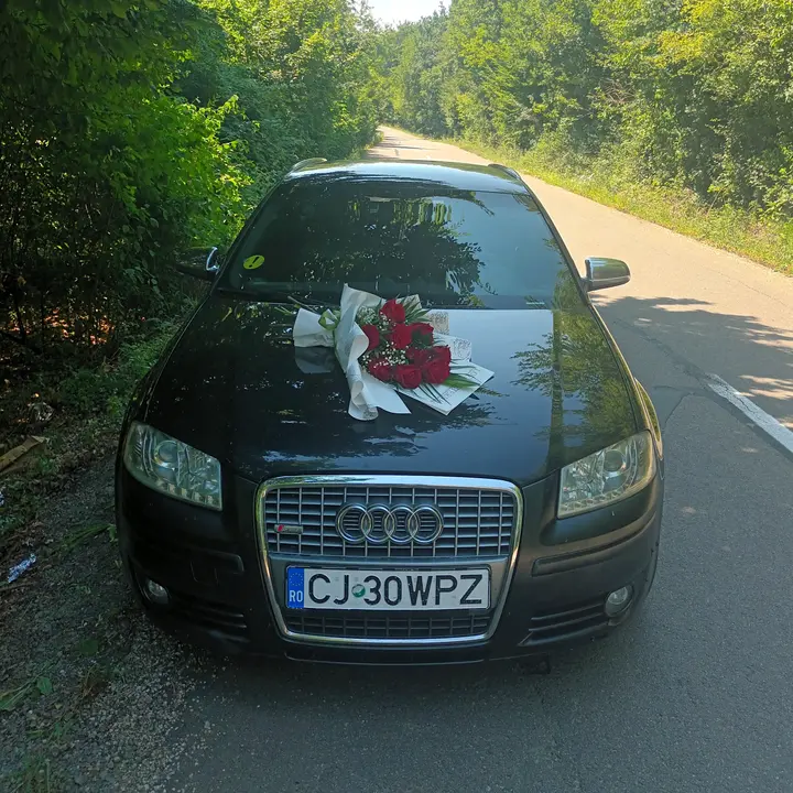 Raul Ionuț