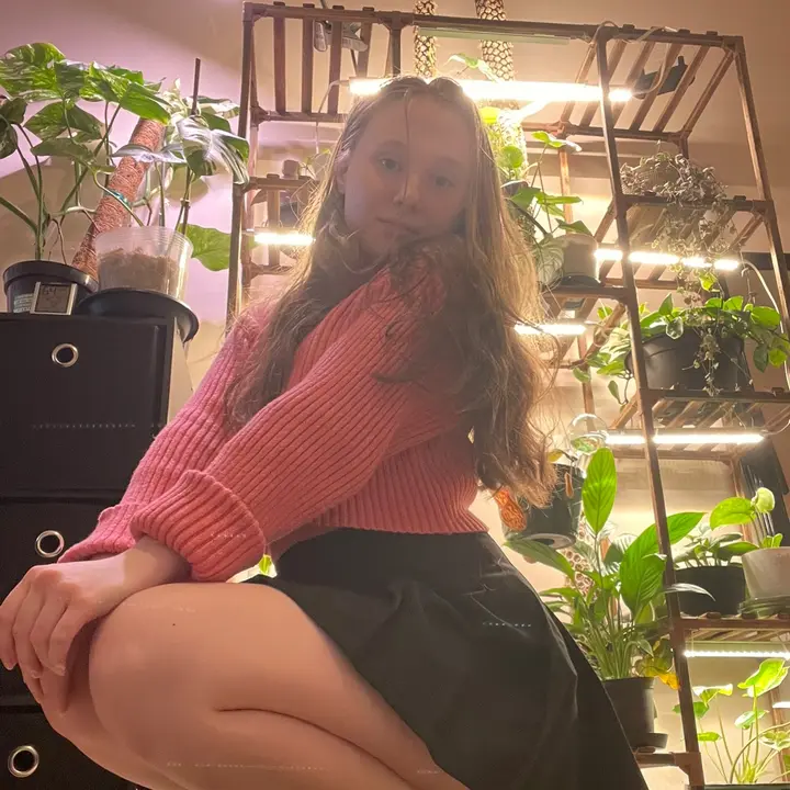 Destany