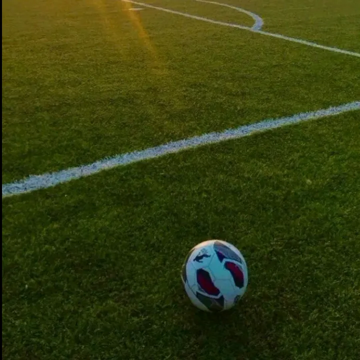 Puro fútbol