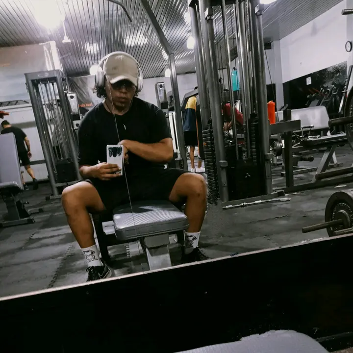 Arielportillofit