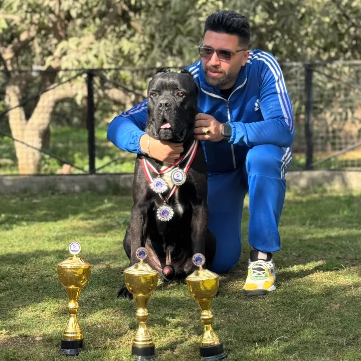 ElBAHZ SLIMAN 🐶 البهظ سليمان